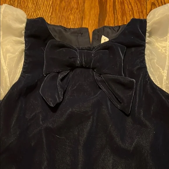 Black Velvet Dress with Sheer Sleeves - Picture 2 of 2